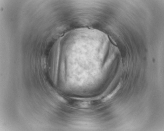 X0000088650182200706152016