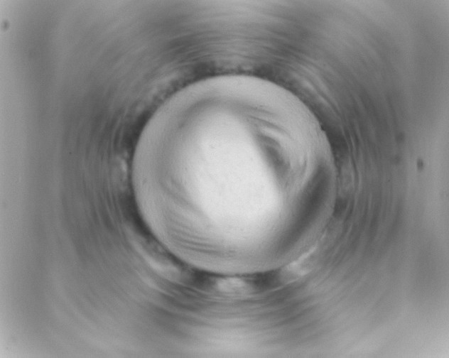 X0000088650183200706152016