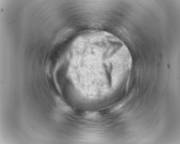 X0000088650185200706152017