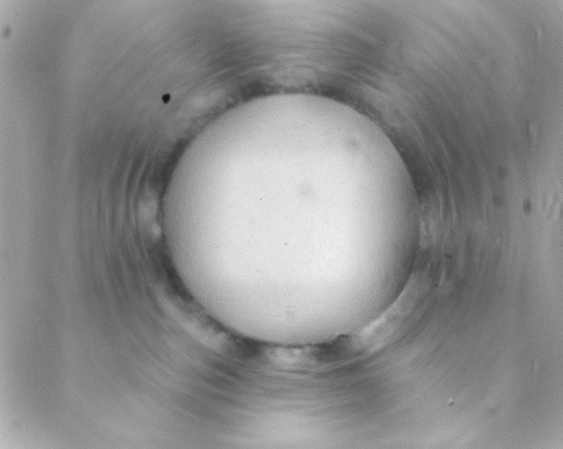 X0000088650187200706152017