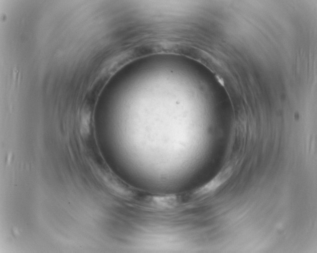 X0000088650188200706152017