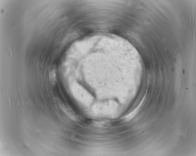 X0000088650190200706152017