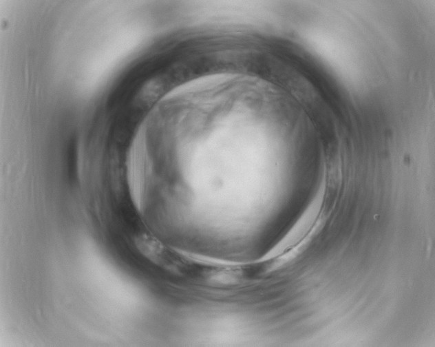 X0000088650191200706152017