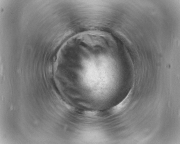 X0000088650192200706152017