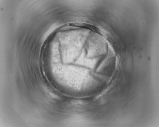 X0000088650195200706152016