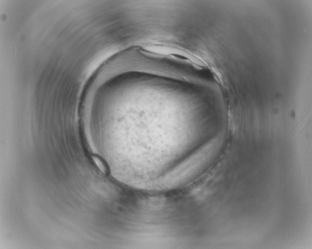 X0000088650196200706152016