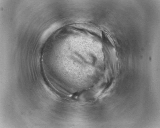 X0000088650197200706152016