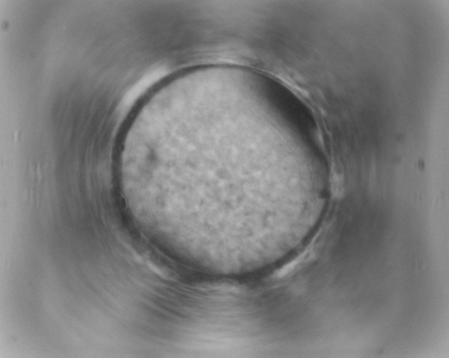 X0000088650200200706152016