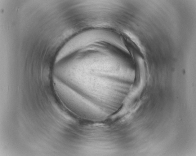 X0000088650201200706152016