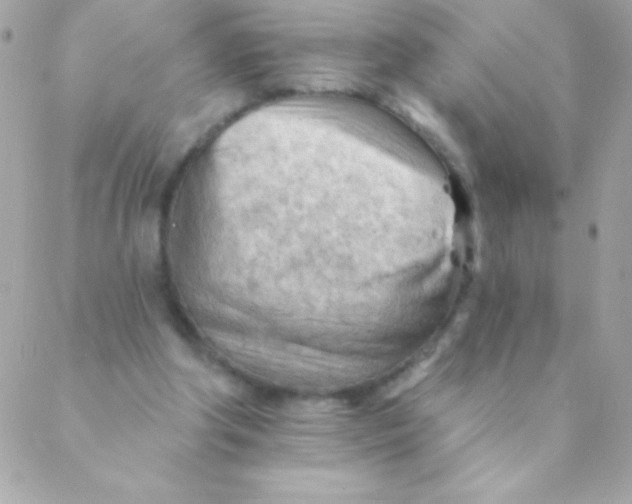 X0000088650202200706152016