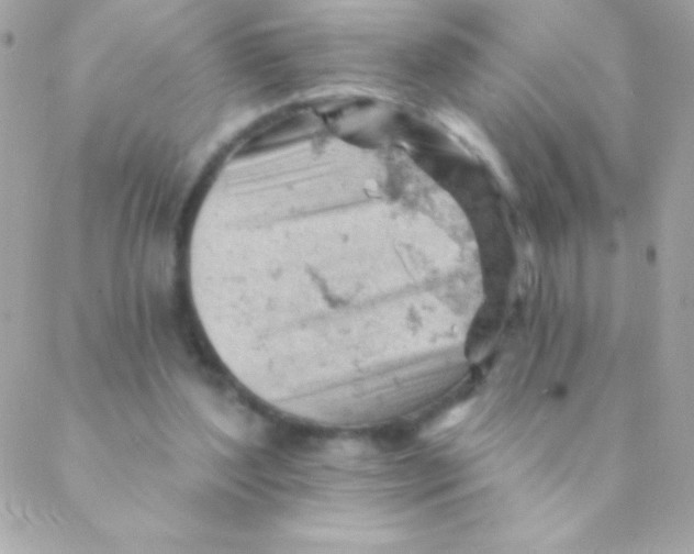 X0000088650204200706152016