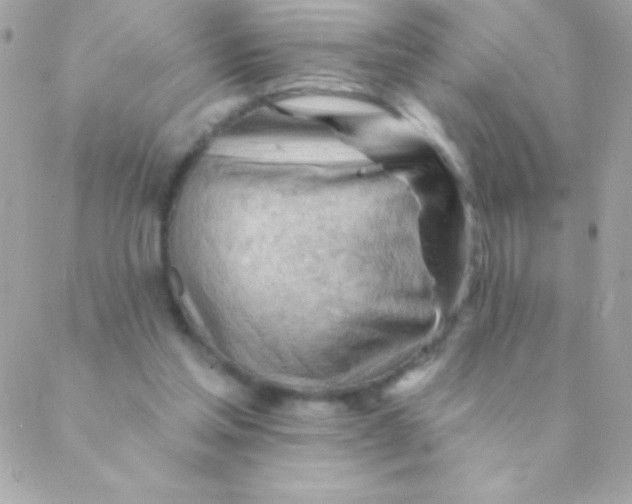 X0000088650205200706152016