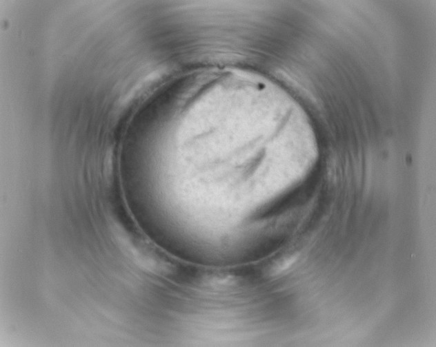 X0000088650206200706152016