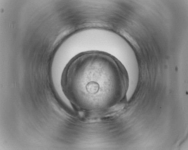 X0000088650207200706152016