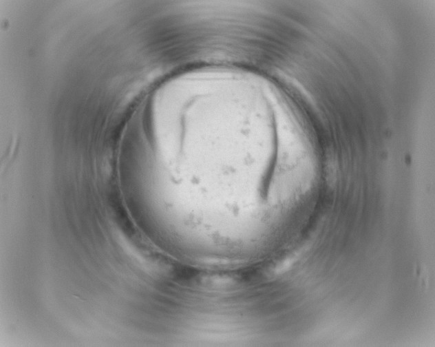 X0000088650208200706152016