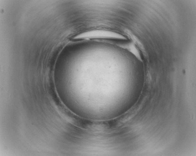 X0000088650209200706152016