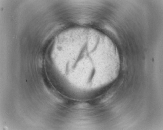 X0000088650210200706152016