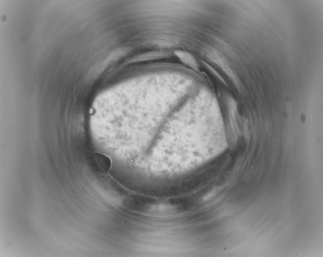 X0000088650212200706152016