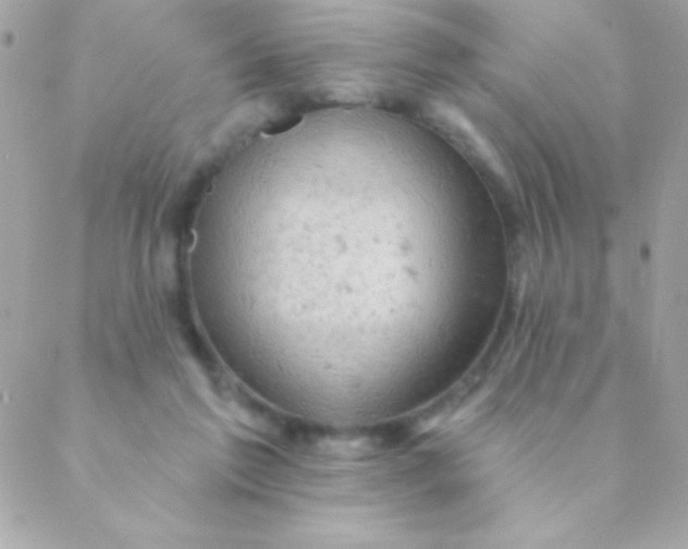 X0000088650213200706152016