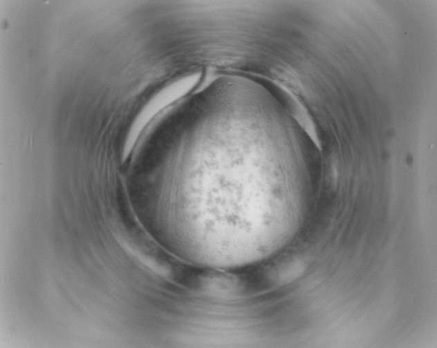 X0000088650215200706152016