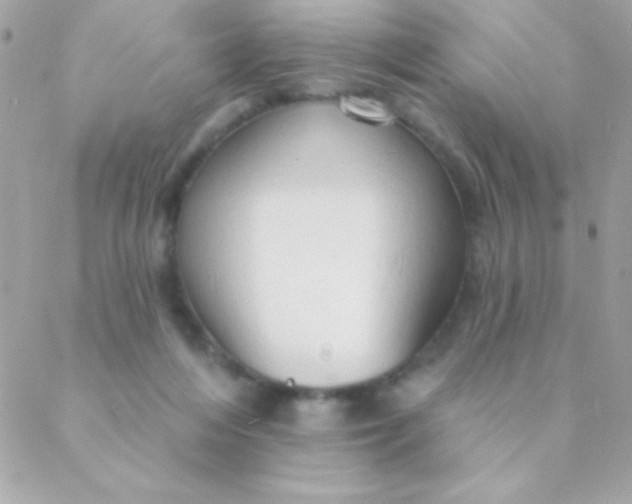 X0000088650216200706152015