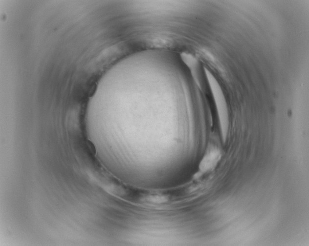 X0000088650217200706152015