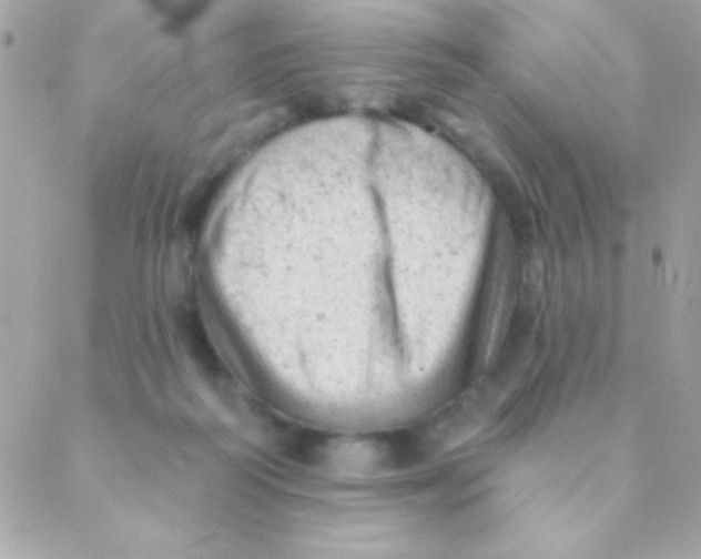 X0000088650218200706152015