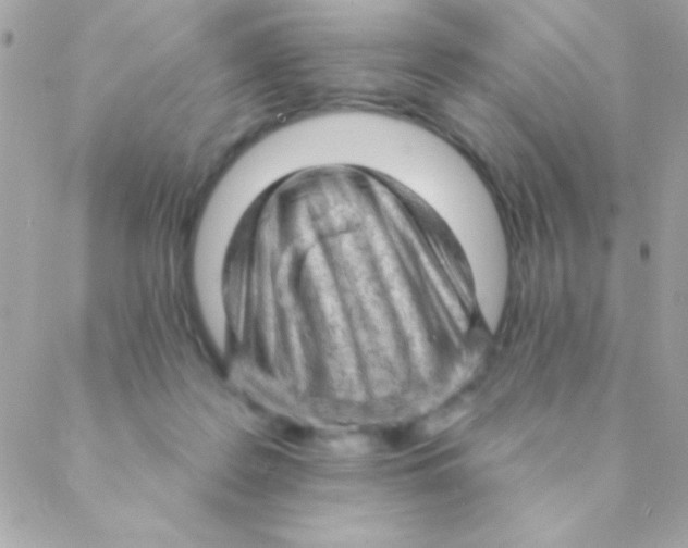 X0000088650219200706152015