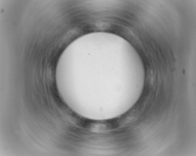 X0000088650220200706152015