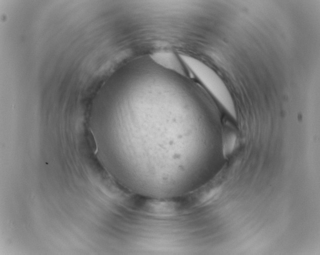 X0000088650221200706152015