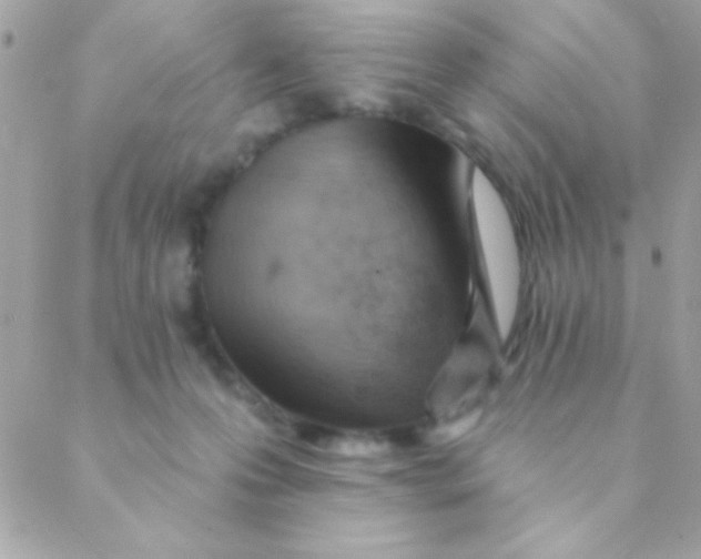 X0000088650223200706152015