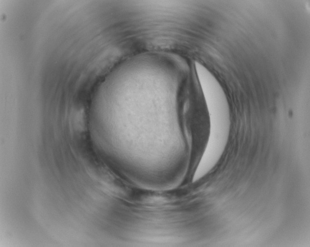 X0000088650224200706152015