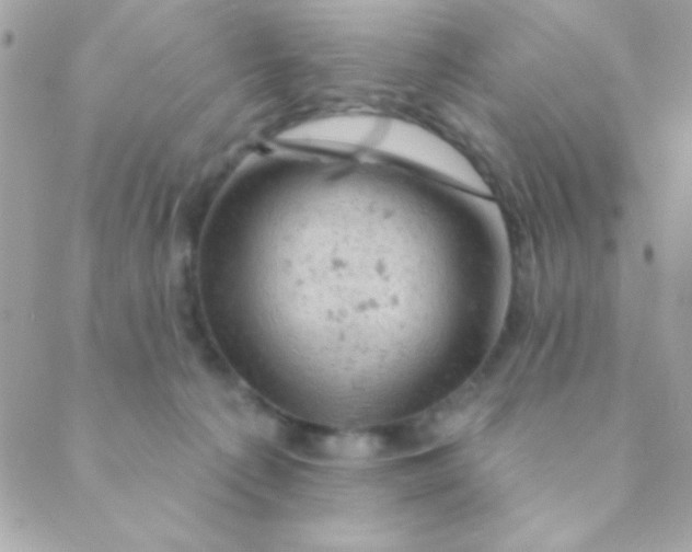 X0000088650225200706152015