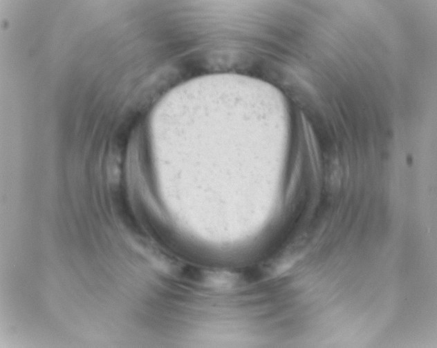 X0000088650226200706152015