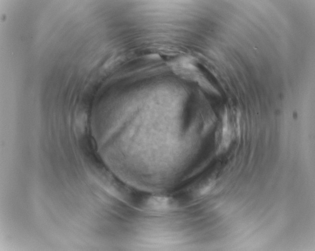 X0000088650227200706152015