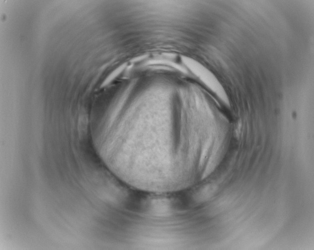 X0000088650228200706152015