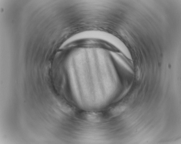 X0000088650229200706152015