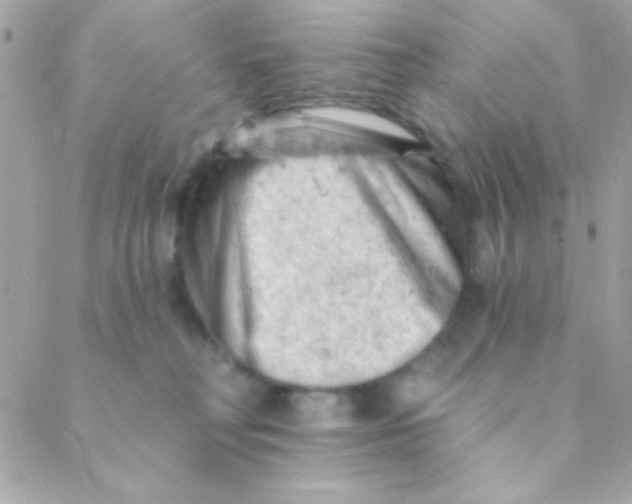 X0000088650230200706152015