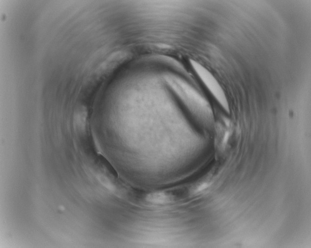 X0000088650231200706152015