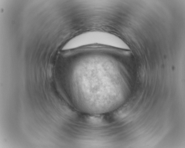 X0000088650232200706152015