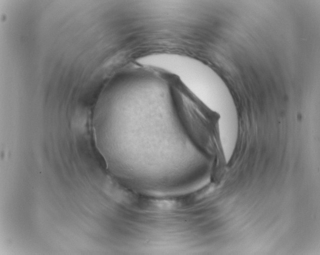 X0000088650233200706152015