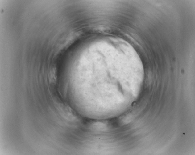 X0000088650236200706152015