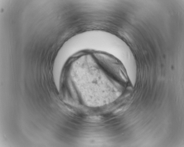 X0000088650237200706152015