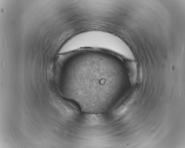 X0000088650239200706152015