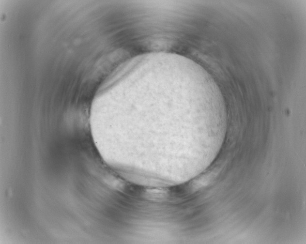 X0000088650240200706152015