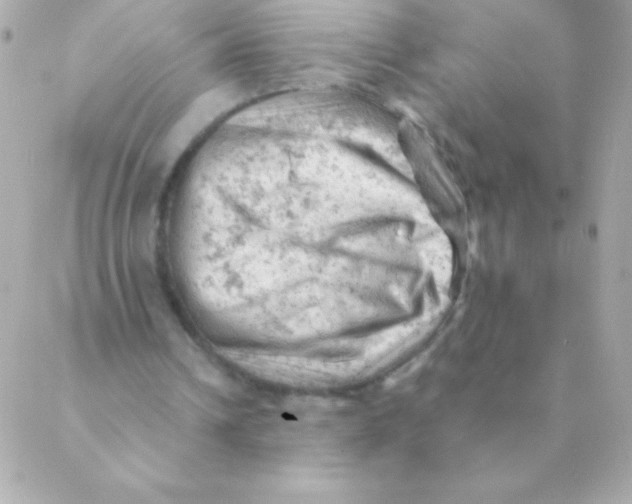 X0000088650242200706152014