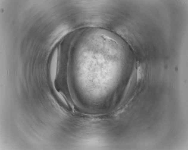 X0000088650243200706152014