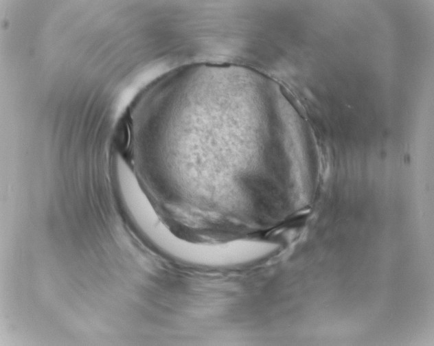 X0000088650244200706152014