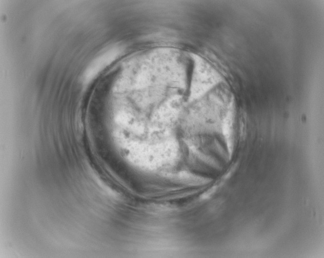 X0000088650245200706152014