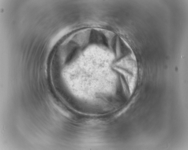 X0000088650246200706152014